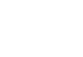 FS12648       FS13275 Post Office Yellow       FS13415 School Bus Yellow