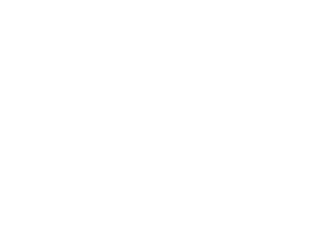 FS16165       FS16187 Mechanic Gray Navy Standard       FS16250
