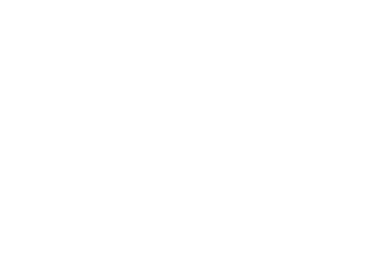 FS16555       FS17038 OSHA Black, ANA515, 622       FS17043 Gold