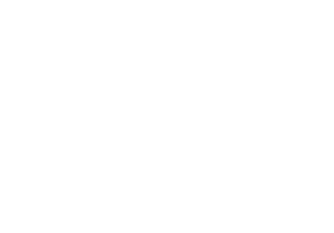 FS17855       FS17860 Coastguard White       FS17865 Hawker Beechcraft White