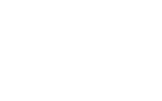 FS10032       FS10045       FS10049 Maroon 81352, ANA510