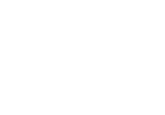 FS12160 Orange Brown       FS12197 Int’l Orange, ANA508       FS12199 Coastguard Red