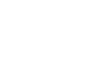 FS12648       FS13275 Post Office Yellow       FS13415 School Bus Yellow