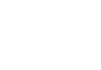 FS13578 Warm Gray       FS13591 OSHA Safety Yellow       FS13594 Aircraft Cream, ANA507