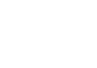 FS16165       FS16187 Mechanic Gray Navy Standard       FS16250