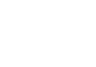 FS17178 Silver, Aluminum Int’l       FS17773 Blue White       FS17778