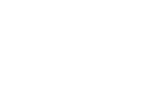 FS17855       FS17860 Coastguard White       FS17865 Hawker Beechcraft White