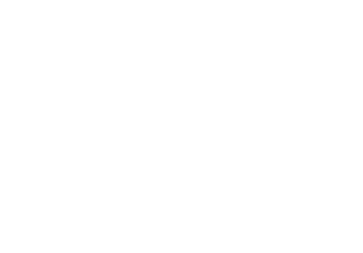FS17295 Untinted White       FS17930 RCAF Snowbird White I-1310