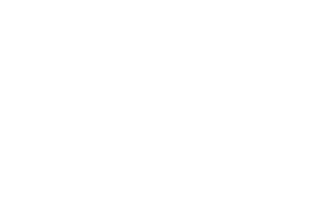 FS20061       FS20062       FS20065 Brown 356