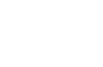 FS20100       FS20109 Seminal Brown       FS20117