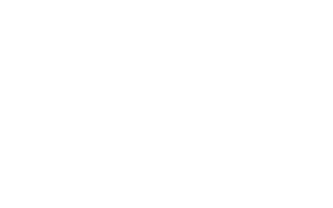 FS23619       FS23640 Yellow 13655       FS23655