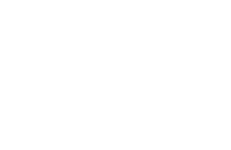 FS20100       FS20109 Seminal Brown       FS20117