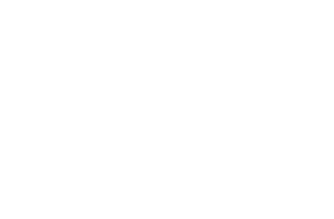 FS20152       FS20155 Light Brown 493       FS20170 Olive Mohave