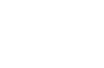 FS21310       FS21400       FS21433