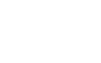 FS23619       FS23640 Yellow 13655       FS23655
