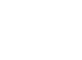 FS30219 Sierra Tan ANA628       FS30227       FS30233