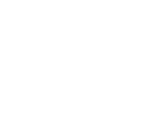 FS33538 Yellow Int’l, Traffic Yellow ANA614       FS33564       FS33578