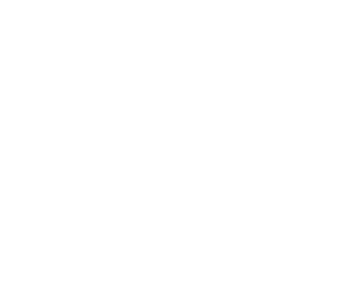 FS37031 Interior Aircraft Black       FS37032 US Army #557 Black       FS37033 US Army #458 Black