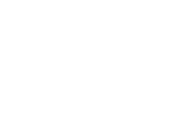 FS37886       FS37925       FS37970 US Army #521 White