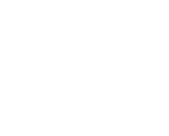 FS37031 Interior Aircraft Black       FS37032 US Army #557 Black       FS37033 US Army #458 Black