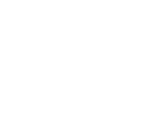 RAL9006 Weissaluminium White Aluminium       RAL9007 Graualuminium, Grey Aluminium       RAL9010 Reinweiss, Pure White