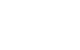 10 Gloss Service Brown       11 Metallic Silver       12 Metallic Copper