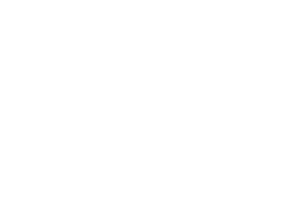 160 German Camouflage Red Brown       163 Satin Dark Green       164 Satin Dark Sea Grey