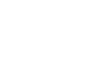 160 German Camouflage Red Brown       163 Satin Dark Green       164 Satin Dark Sea Grey