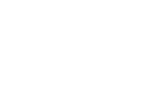 X33 - Bronze        X34 - Metallic Brown       X35 - SG Clear