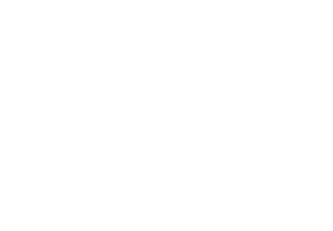 RLM62 Grun       RLM65 Hellblau       RLM66 Schwarzgrau