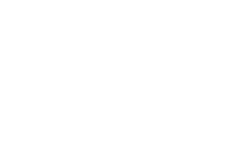 Royal Navy G-45       Chrome Yellow       Lemon Yellow