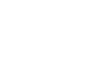 Gloss Willow Green       US Navy Orange Yellow       Yellow Zinc Chromate