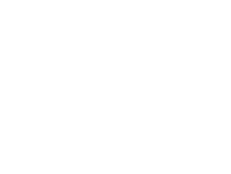 AK756 Polizei, Waffen SS Grun       AK775 Matt Varnish       AK776 Satin Varnish