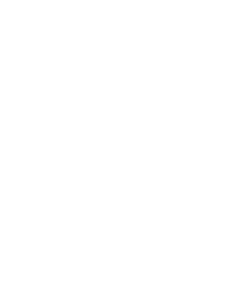 AK2064 D2 Green Black       AK2065 C2 Trainer Yellow